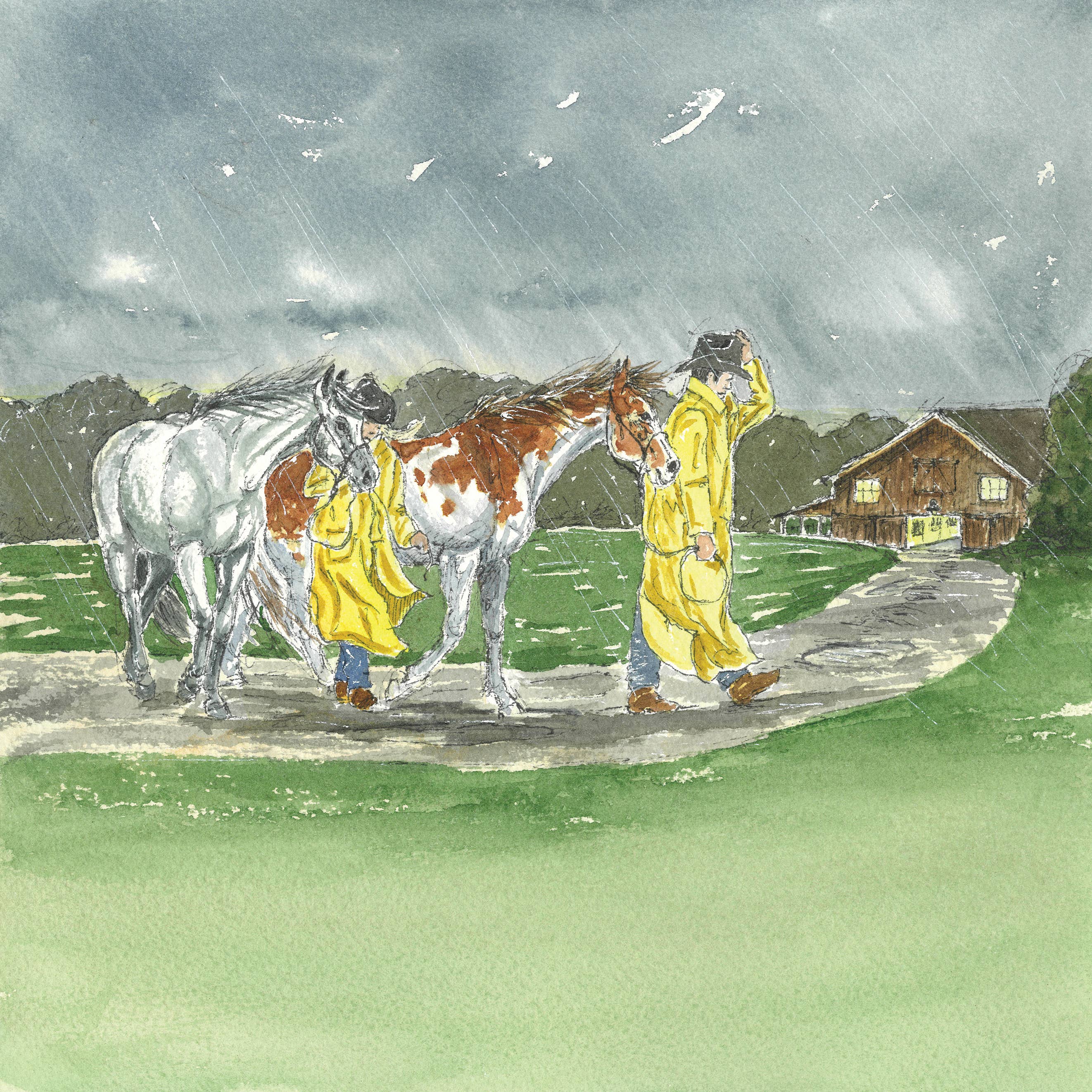 Little Blue Roan Books - Wholesale Preschool Book (3-5) - Hardcover: Charlie Learns to Be a Cowboy 7