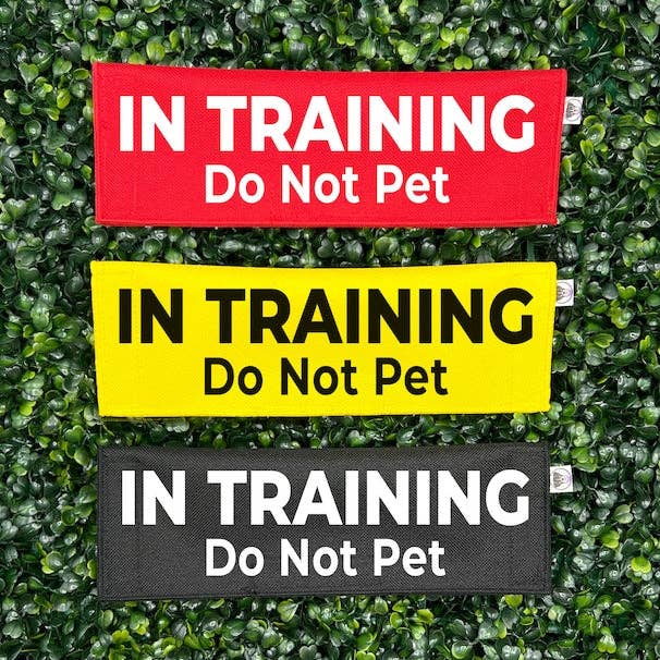 In training - Niet aaien voor wholesale door Best Friend Supplies Co