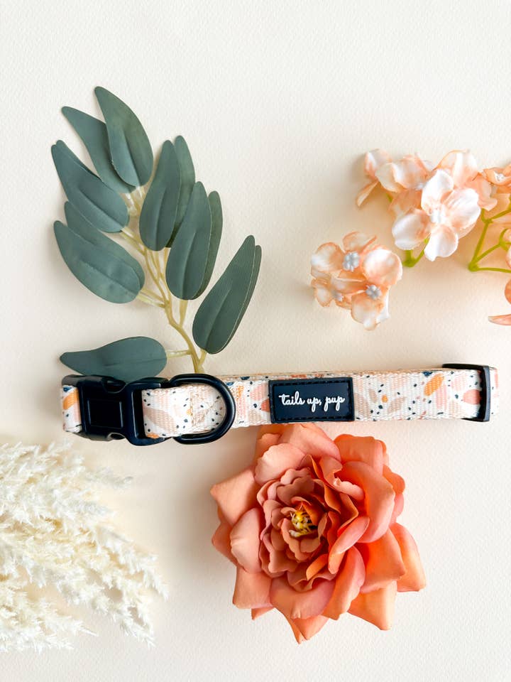 Terrazzo Dog Collar, Floral Dog Collar, Dog Accessories for wholesale by Tails Up, Pup