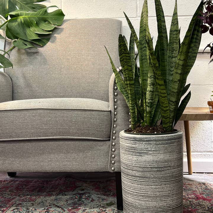 UPshining - Wholesale Plant Pot - 9.5" Ceramic Tall Planter(Plant Not Included)4