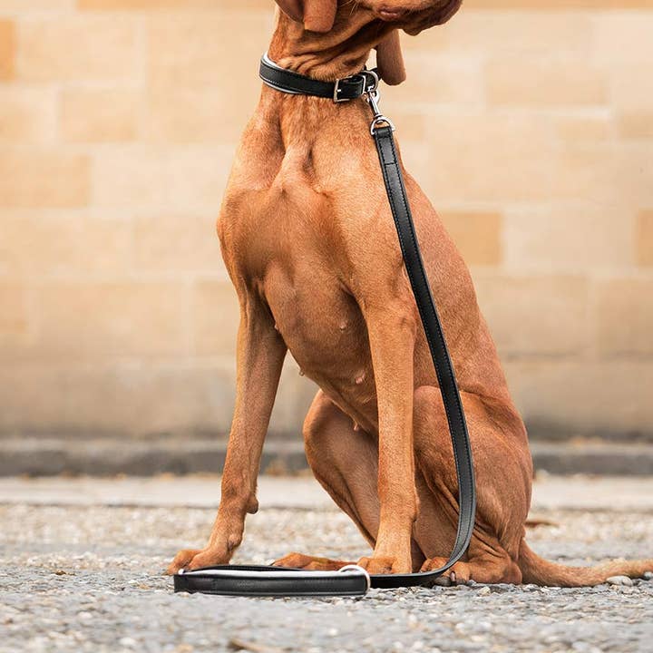 Guinzaglio per cani imbottito in pelle italiana in nero e grigio per la vendita all'ingrosso da parte di Lords and Labradors