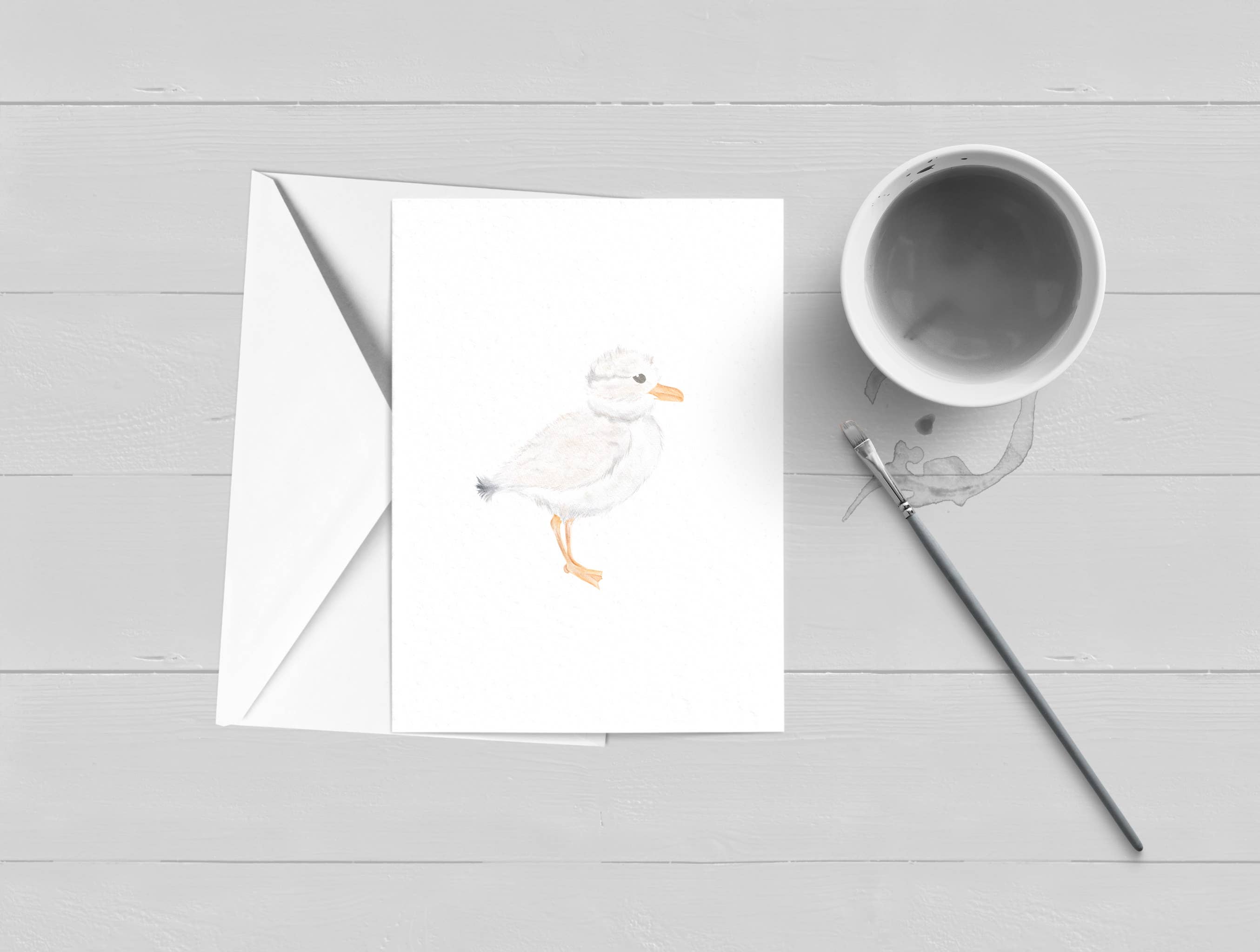 WonderfullyWrittenCo - Wholesale Stationery/Notecard Set - Piping Plover Watercolor Boxed Greeting Card Set0