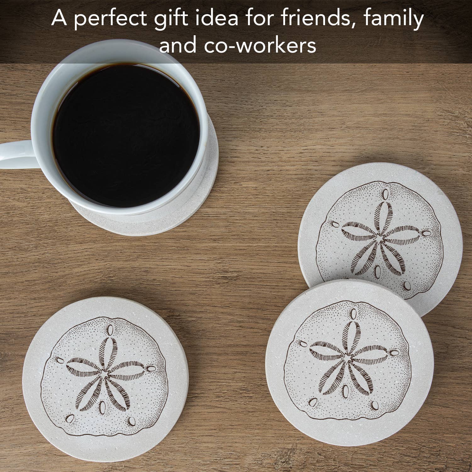 CounterArt/Highland Home/Thirstystone/CoasterStone - Wholesale Coasters - Thirstystone Sand Dollar Round Absorbent Sandstone Coasters4