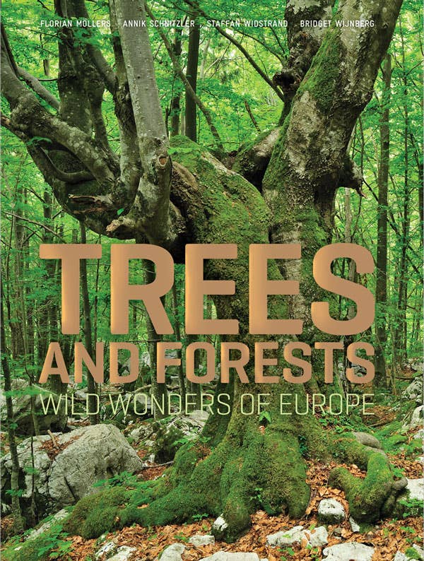 Abrams - Wholesale Nature & Outdoors - Trees and Forests: Wild Wonders of Europe0