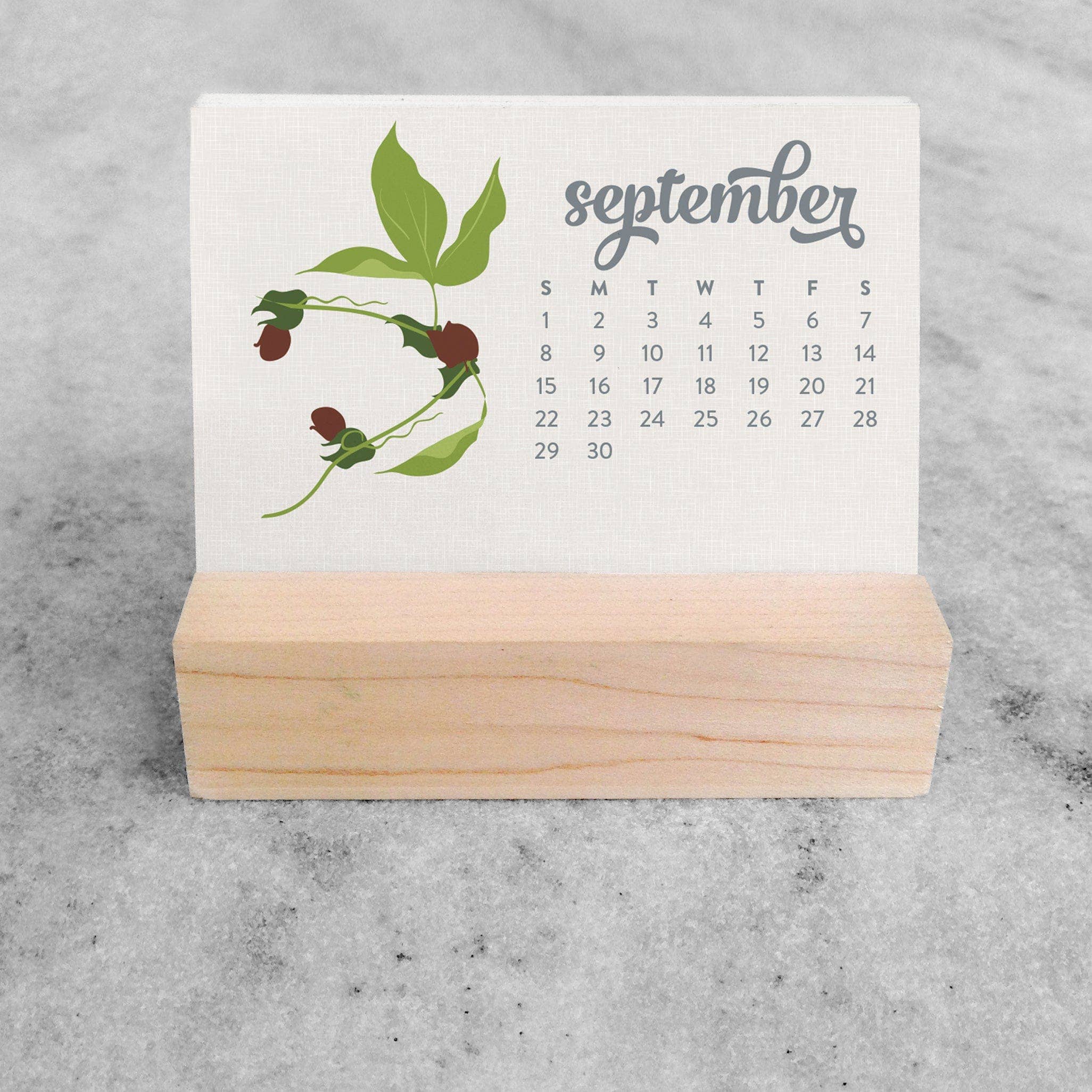 Favorite Story - Wholesale Calendar - 2026 Mini Desk Calendar, Wildflower10