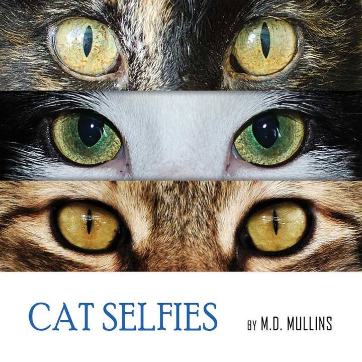 Cat Selfies by M.D. Mullins for wholesale by Simon & Schuster