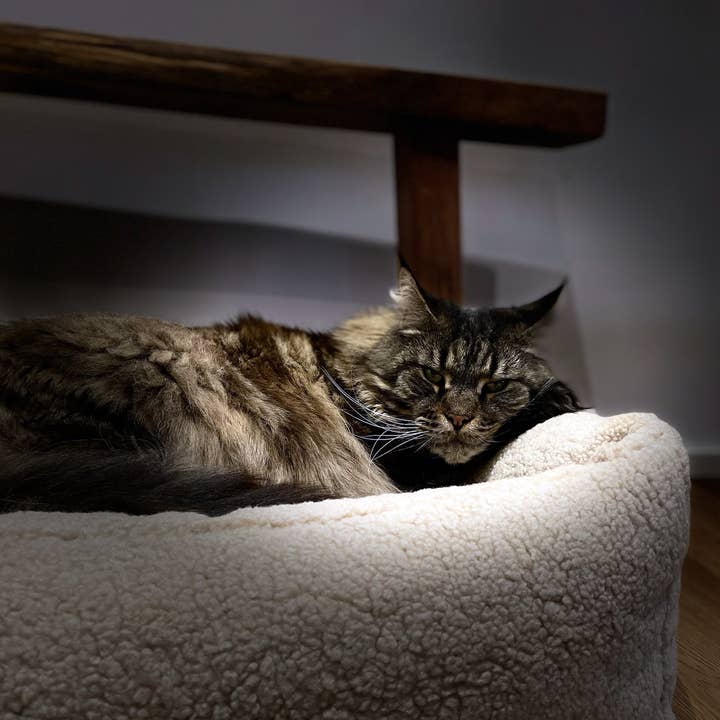 LABONI - Volentis GmbH - Wholesale Pet bed – Dog - TEDDY Classic Pet Bed - CREAM7