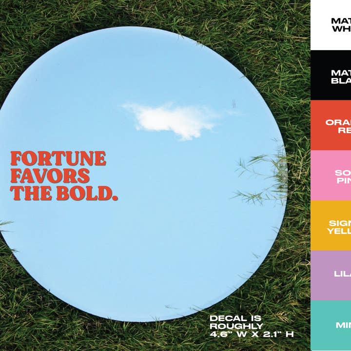 Mixtape Paper Co. - Wholesale Wall Decal/Stickers - MIXTAPE MANTRAS - vinyl transfer decals - simple sayings9