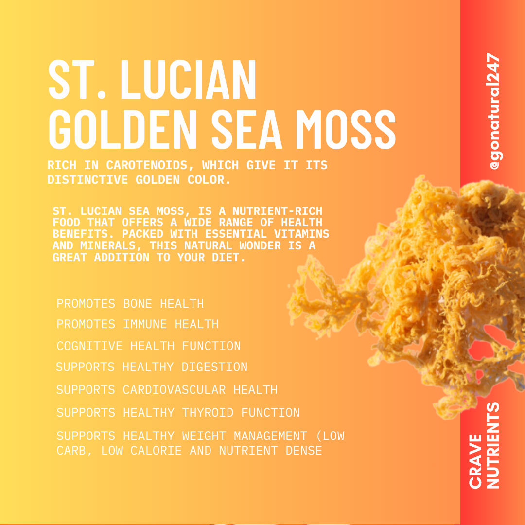 Beauty Gate Cosmetics - Venta al por mayor Suplementos/vitaminas para beber - Musgo marino dorado de Santa Lucía cosechado en estado silvestre de Crave Nutrients (100% secado al sol)3