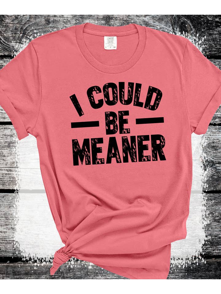 A Blessed Texas Mess Boutique - Wholesale Graphic Sweatshirt - Women's - Comfort Colors® I Could Be Meaner Shirt Funny Humor sarcasm1