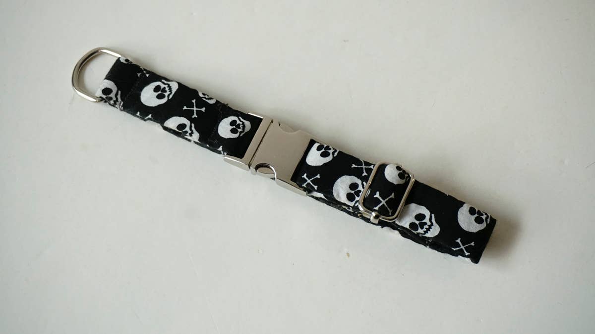 hundsfutter - Wholesale Pet Collar - Dog - Small collar for dogs with skulls9