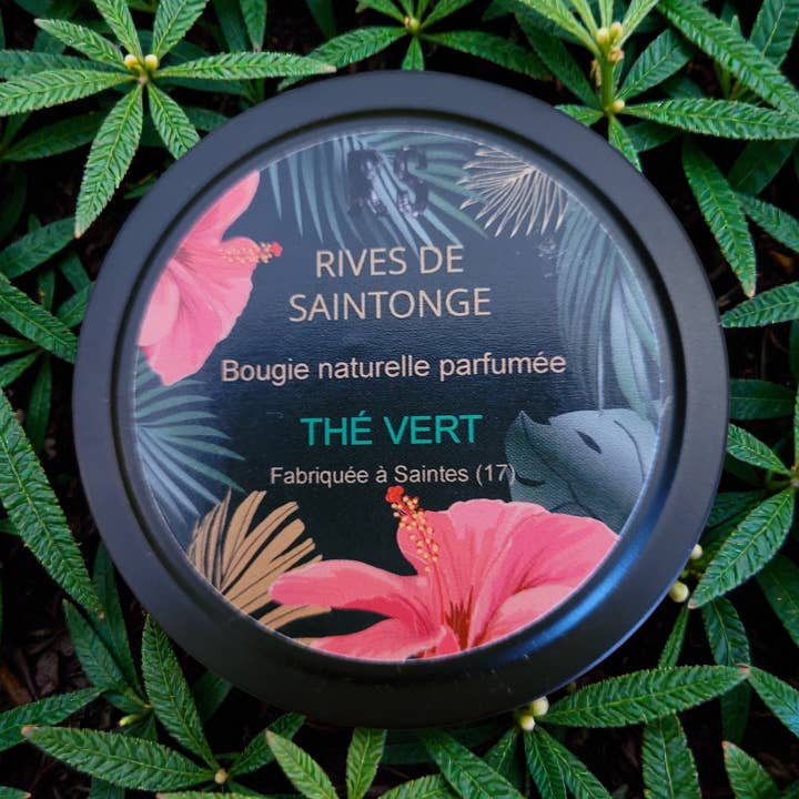 Vela de té verde natural para venta al por mayor de RIVES DE SAINTONGE