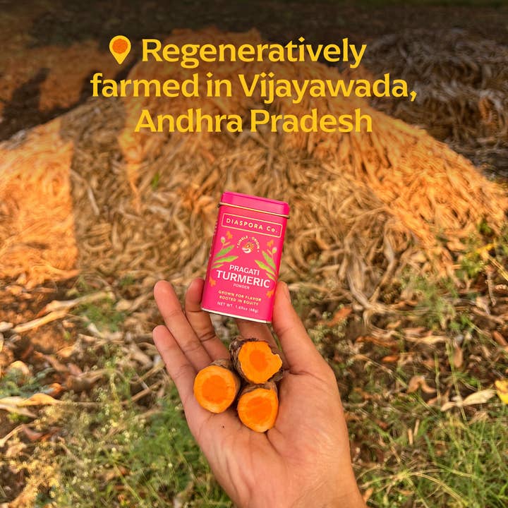 Diaspora Spice Co. - Wholesale Dried Spice - Pragati Turmeric (Powder) - Single-Origin Spice1