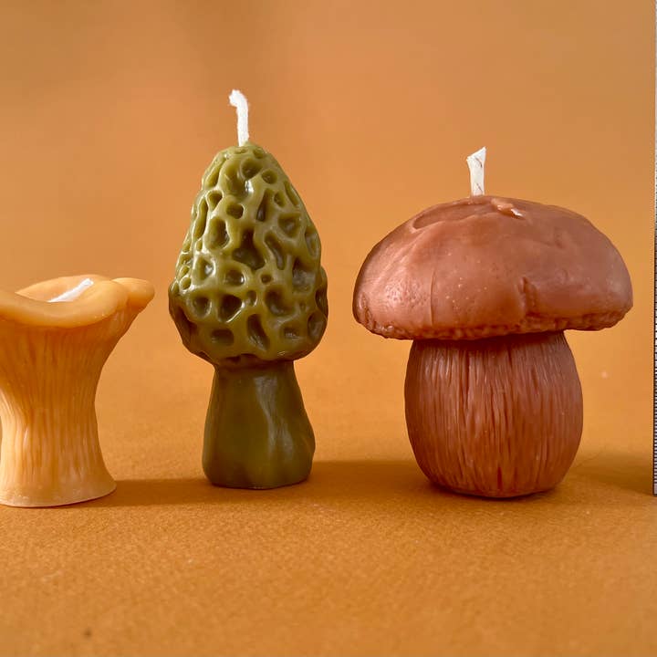 Wicksburgh - Wholesale Novelty Candle - Mushroom Lover Gift Box | Morel, Chanterelle & Pennybun4