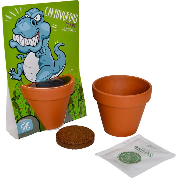 Buzzy, Inc. - Wholesale Plant Seeds - Whimsical Grow Kit - T-Rex EXCLUSIVE