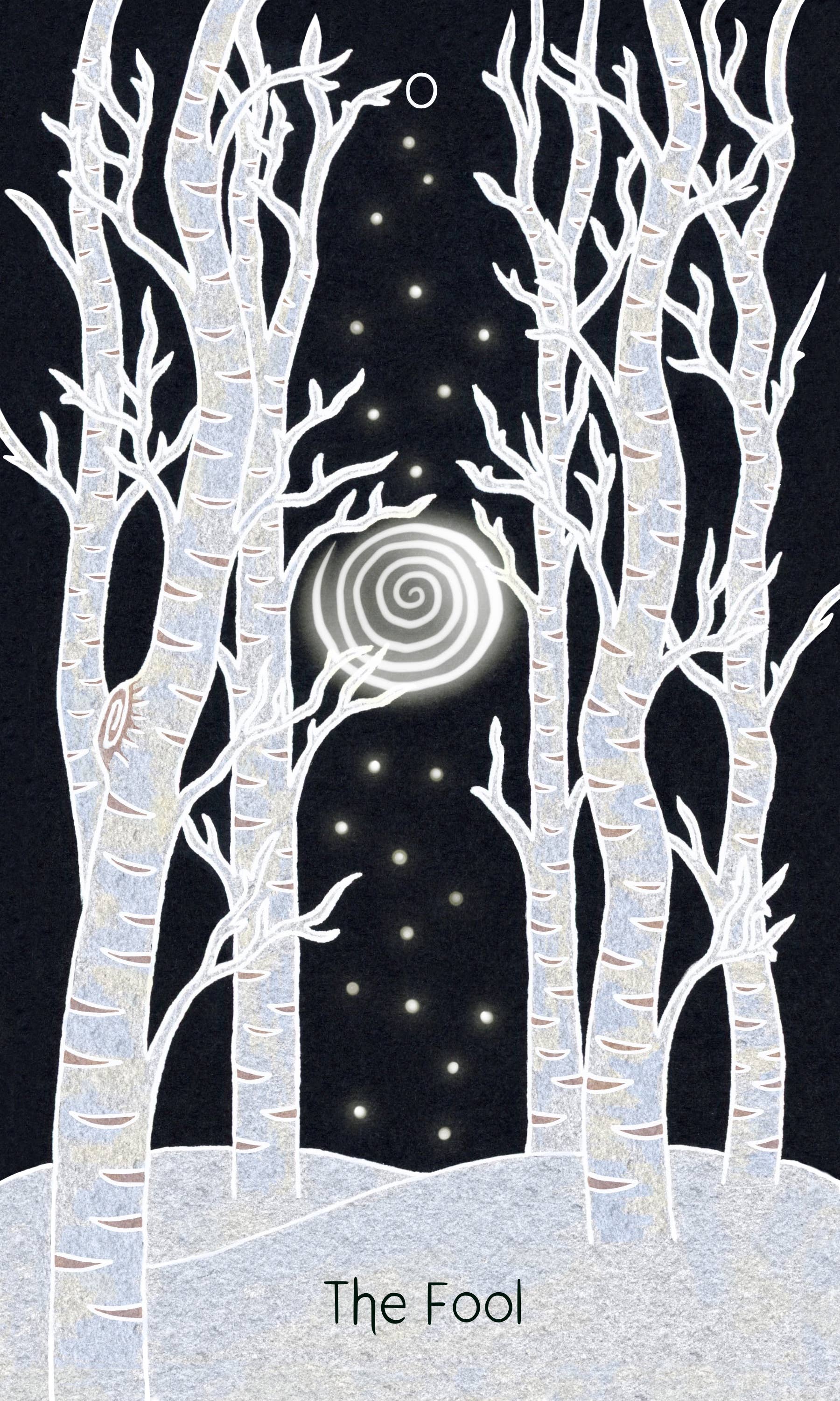 Schiffer Publishing - Wholesale Tarot Cards - The Animystic Tarot1