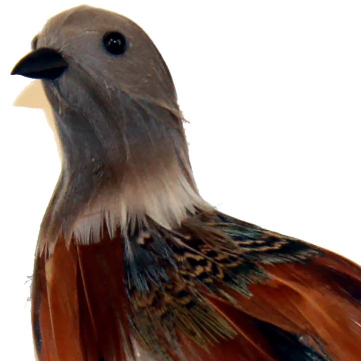 WORTH IMPORTS - Wholesale Decorative Figurine - 6" Feathered Turtledove with Clip