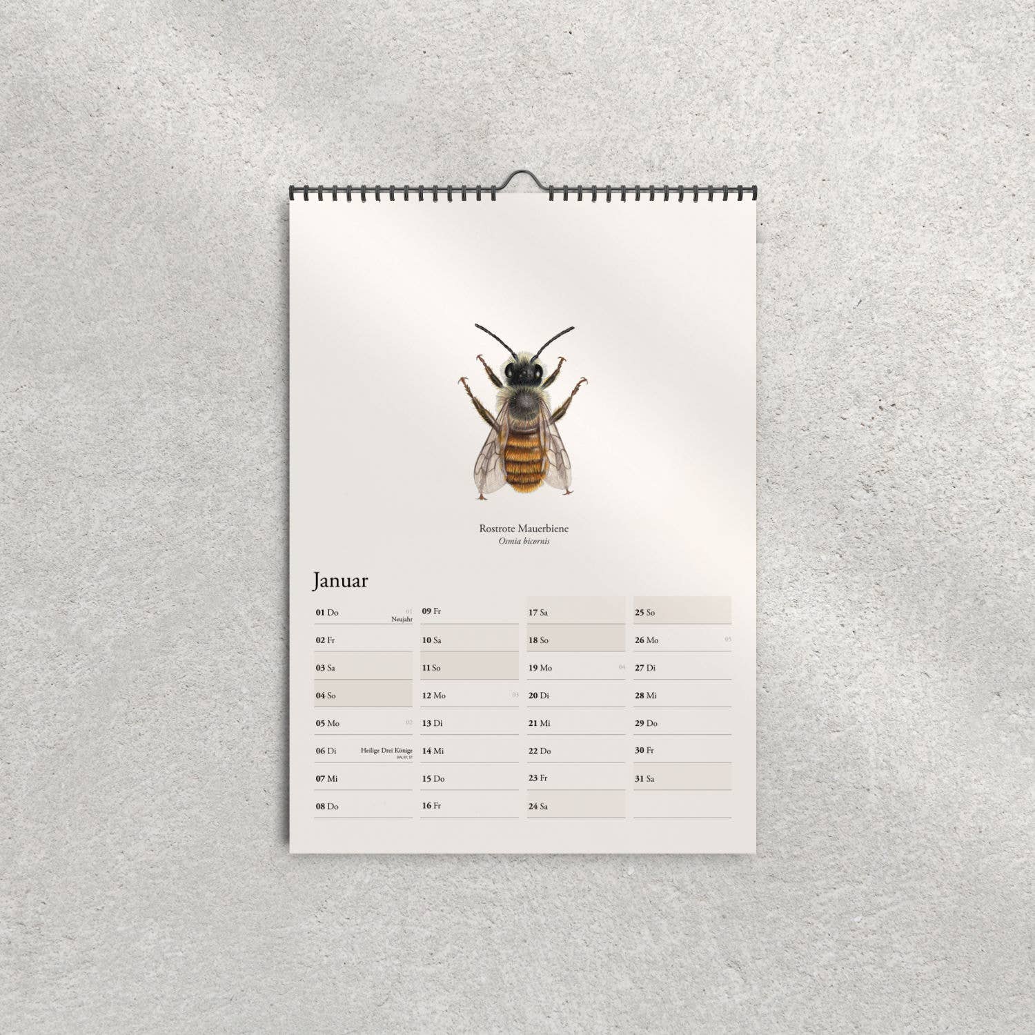Terillu - Wholesale Calendar - Calendar 2026 – Wall Calendar Native Wild Bees1