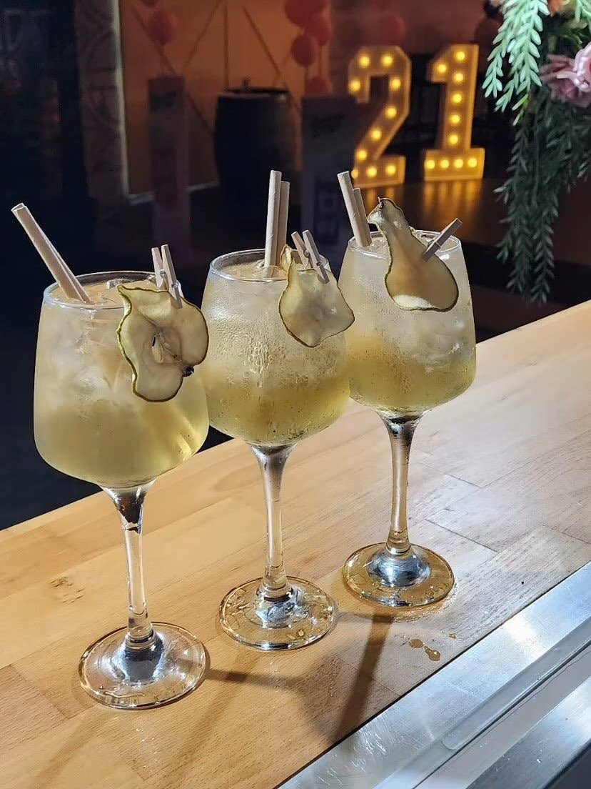 Cocktail Candy - Wholesale Dried/dehydrated fruit - Dehydrated Pears7