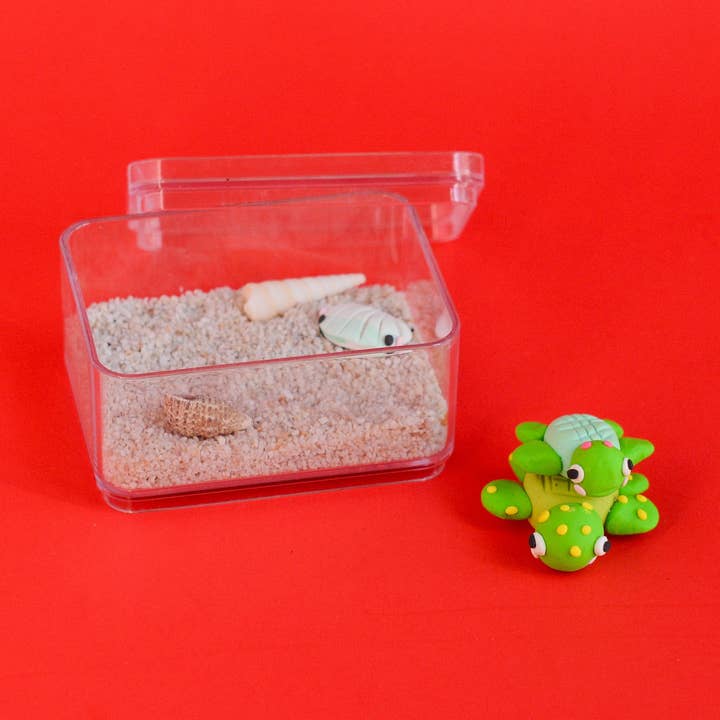 Turtle-tini Terrarium for wholesale by Tangerine Art Kits
