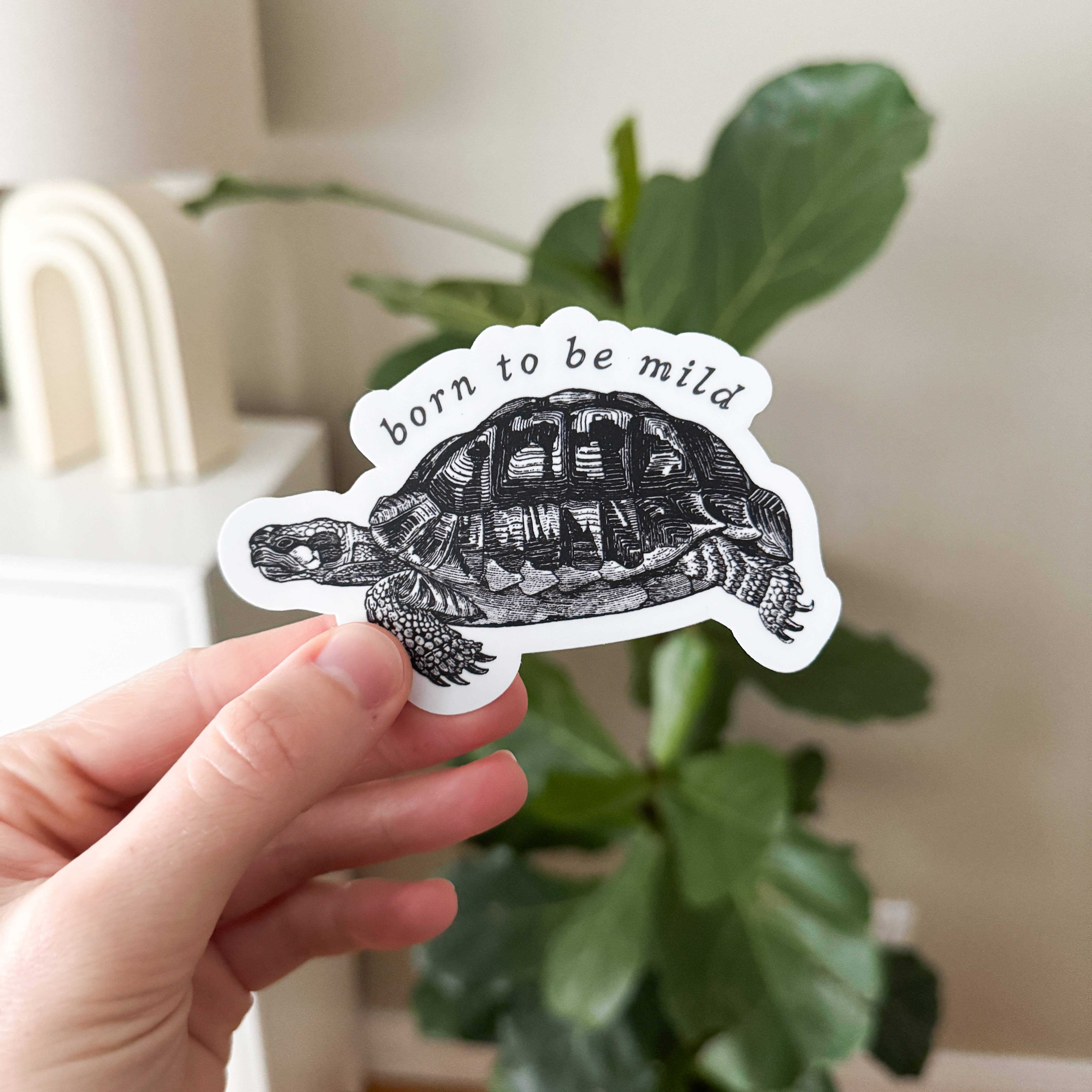 Kinsfolk Stickers - Wholesale Sticker - Born to be Mild Tortoise Vinyl Sticker 3