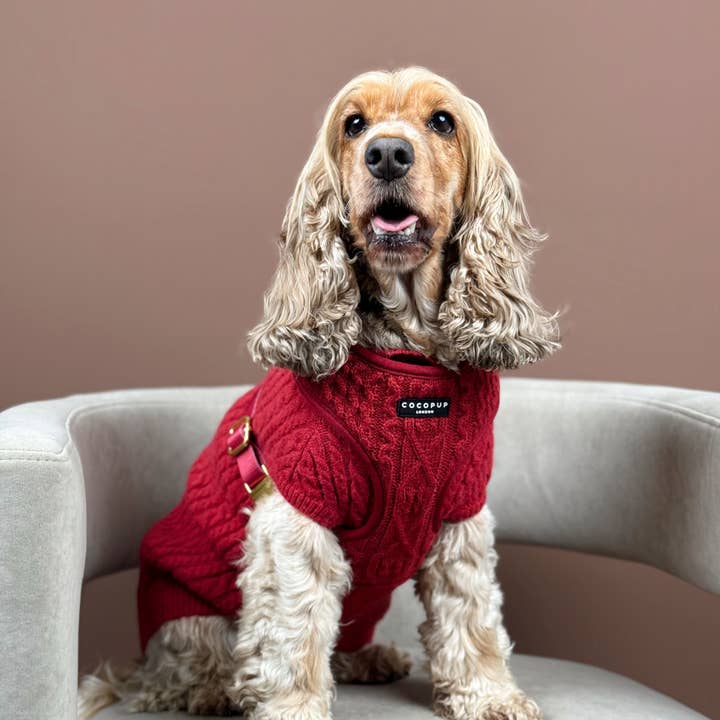 Cocopup London - Wholesale Pet jumper – Dog - Cable Knit Jumper - Mulled Wine6