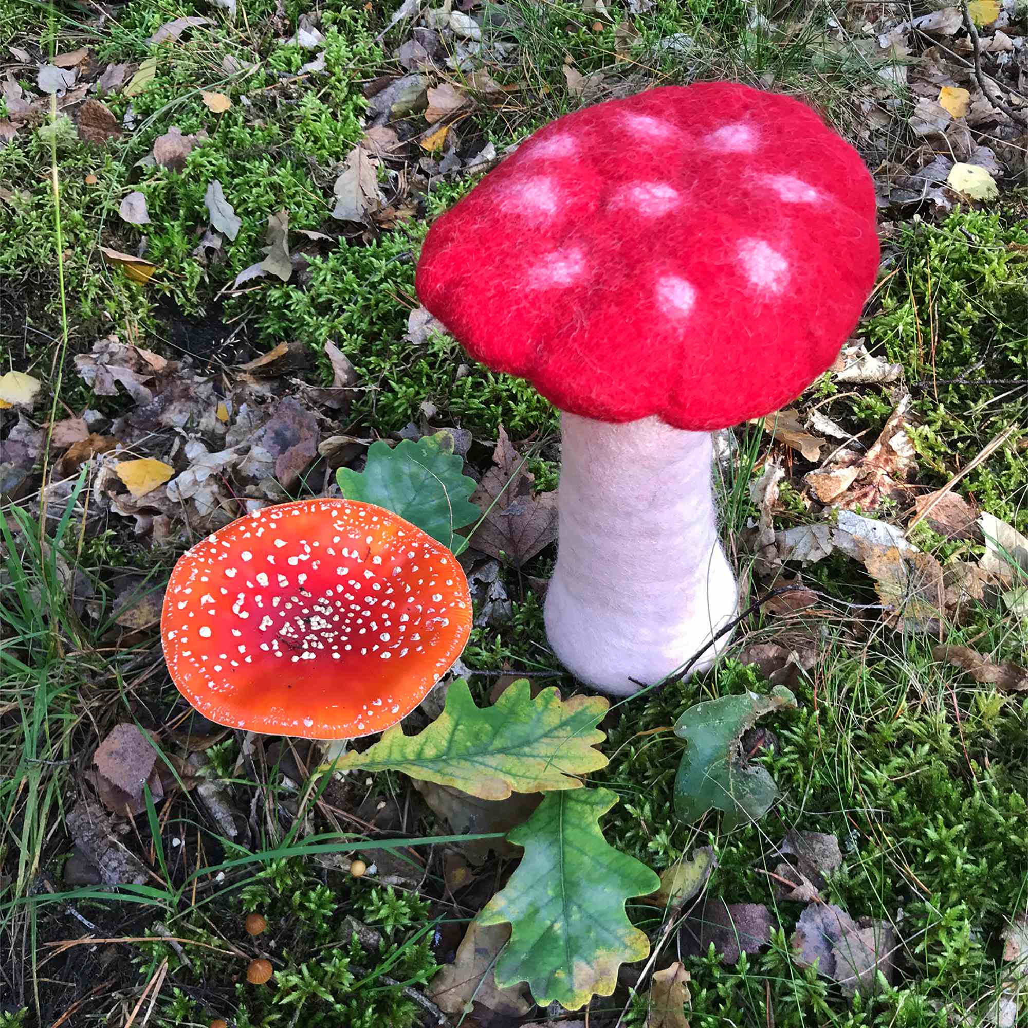 Tribal Trade GmbH - Vendita all'ingrosso Statuette decorative - Fungo amanita muscaria in feltro rosso, disponibile in 3 dimensioni29