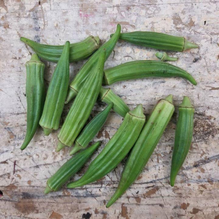 Sow True Seed - Wholesale Plant Seeds - Okra Seeds - Clemson Spineless 80