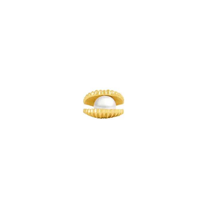 Open Shell Pearl – 14K Gold Threadless/Threaded End for wholesale by Piercing-zone