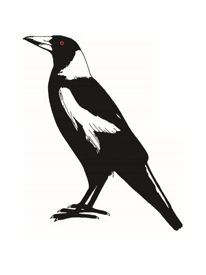 Tea Towel - Large Magpie for wholesale by Allgifts Australia