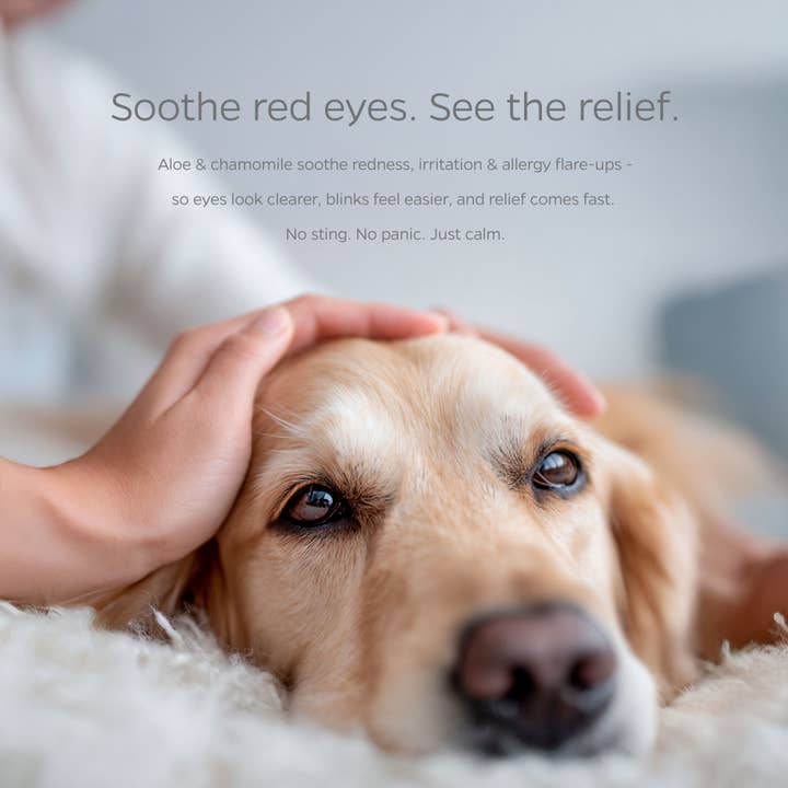 Pet Parents® - Wholesale Pet Grooming Tool - Dog - Pet WiPees™ Eye Wipes for Dogs and Cats, 100ct3