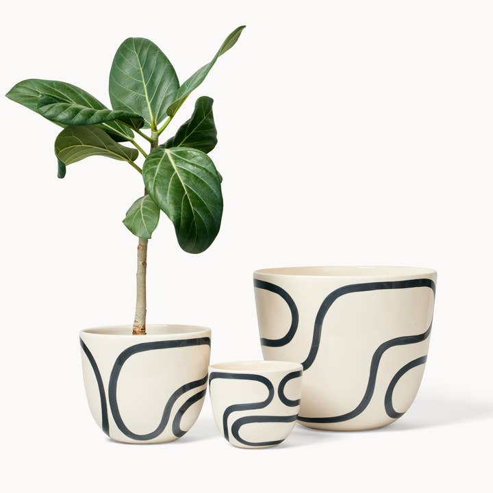 Jardinières Black Outline (brillant) pour la vente par Franca