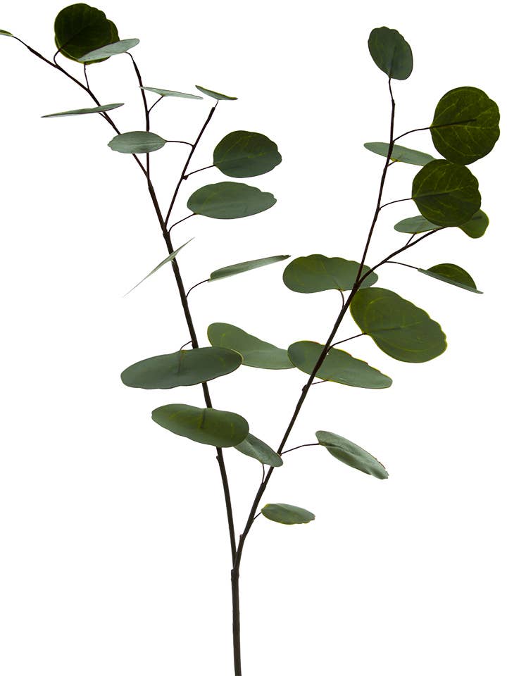 33" SILVER DOLLAR EUCALYPTUS SPRAY for wholesale by American Best
