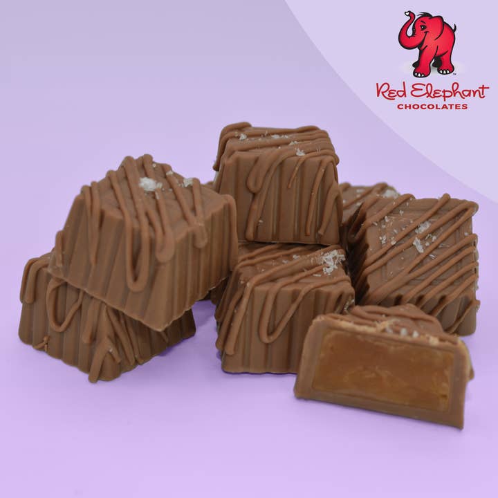 Concordia Red Elephant Chocolate - Wholesale Chocolate Box - Chocolatier Collection: 15pc Artisan Handmade Chocolate3