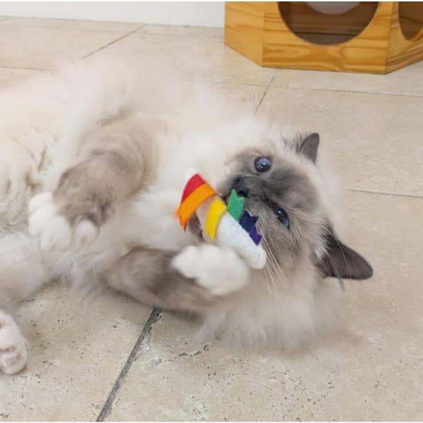 LES MATOULONNAIS - Wholesale Pet Toy - Cat - Fried egg in felt "LES MATOULONNAIS"5