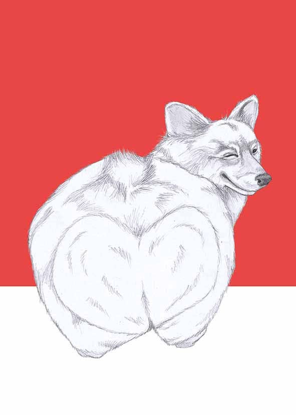 I AM NIEN – Engroshandel Hverdagshilsen kort – Corgi1