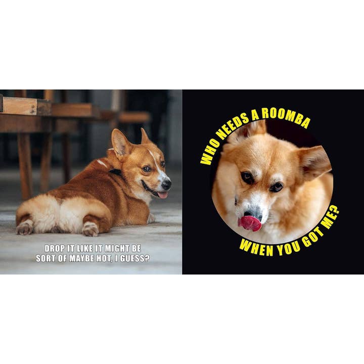 Hachette Book Group - Wholesale Pets - No Thoughts Just Corgis: A Compendium of Cuteness4