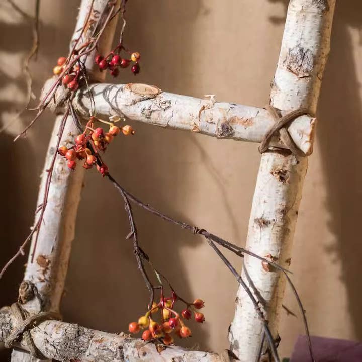 Rustic Reach - Wholesale Free Standing Shelf - White Birch Wood Decorative Ladder