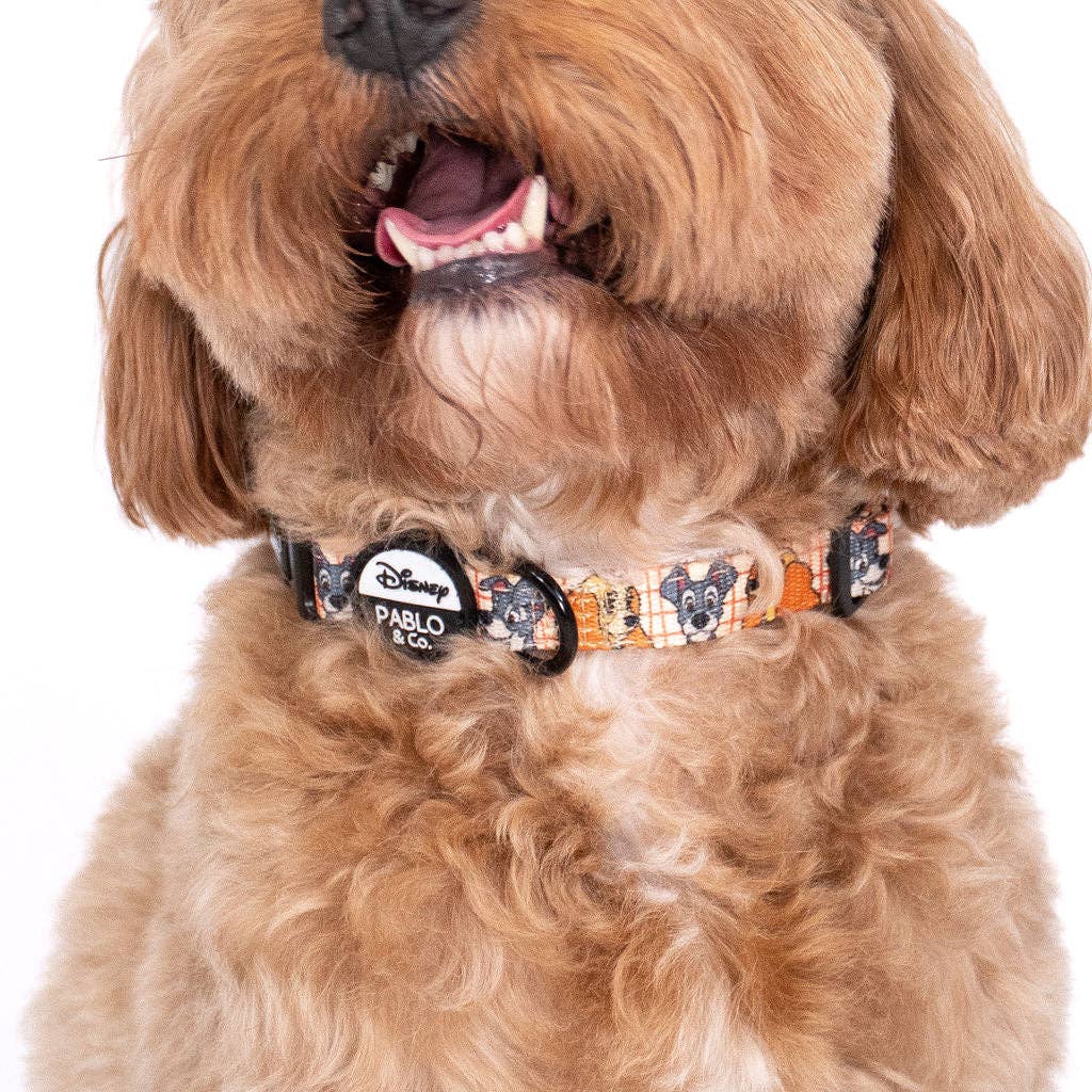 Pablo & Co. Boutique - Vente Collier – chien - Disney La Belle et le Clochard : Collier pour chien1