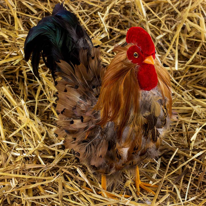 Zucker Feather Products - Wholesale Feathers - Rooster Farmhouse Decor2