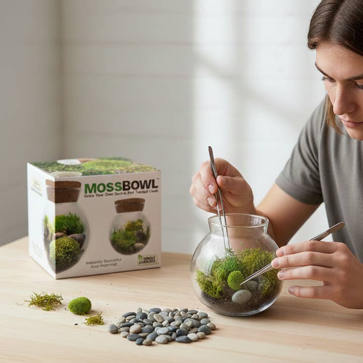 Silver Circle Products - Wholesale Terrarium - MossBowl Glass Terrarium with Live Moss and LED Light4