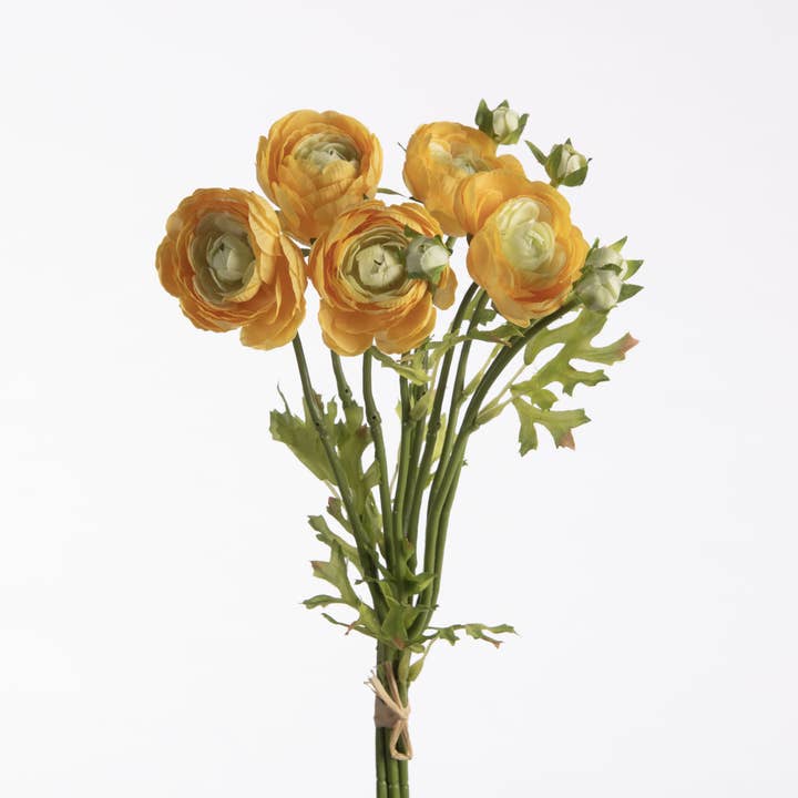 Ranunculus Bundle orange for wholesale by DRYdecorations