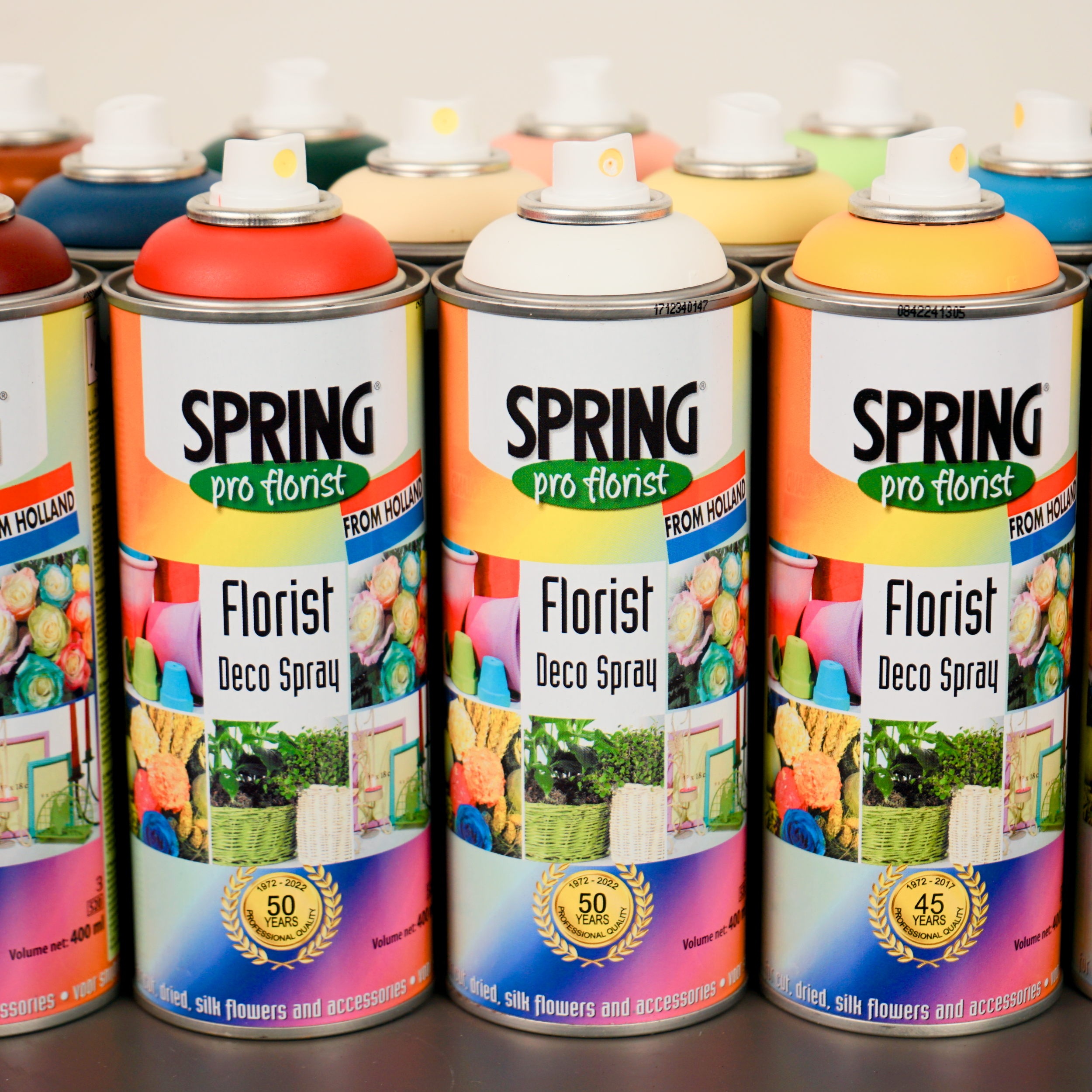 All Occasions Wholesale – wholesale Fresh cut flowers – Floral Spray Paint18