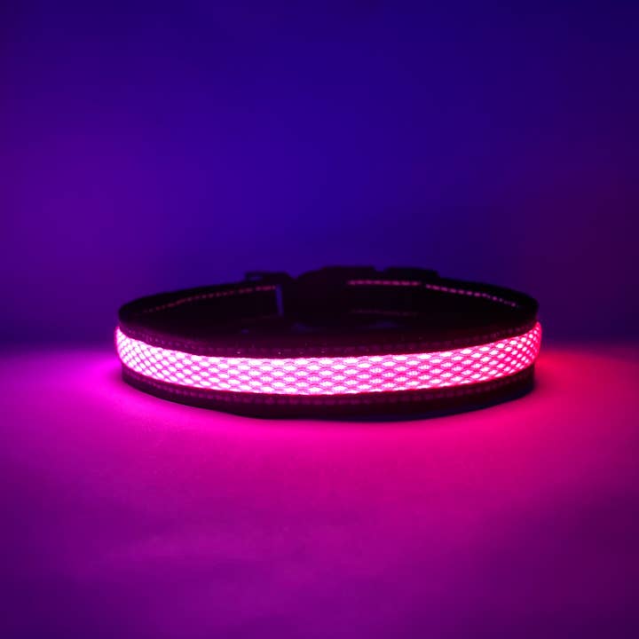 Puppy LED - Wholesale Pet Collar - Dog - LED Dog Collar