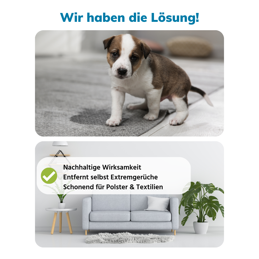 Sensedeck GmbH – Großhandel Haustier-Deospray – LINOZZ Animal Geruchsentferner 500 ml5