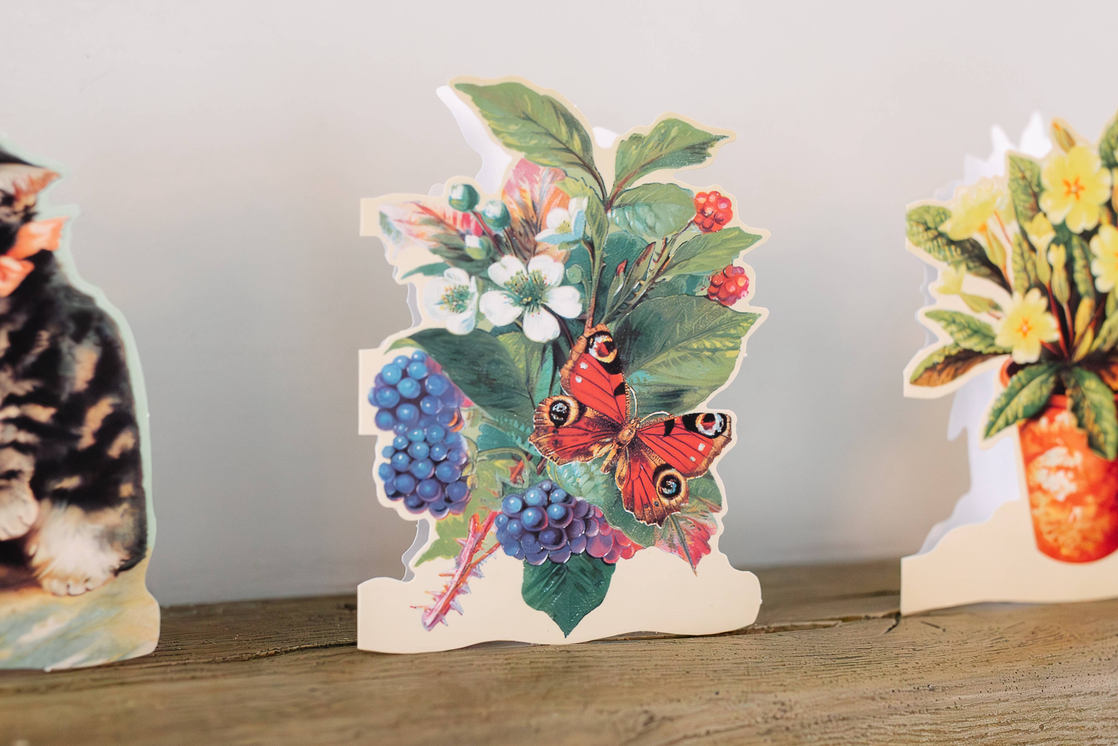 Mamelok – wholesale Everyday greeting card – MINI DIE CUT ASSORTMENT EVERYDAY CARDS17