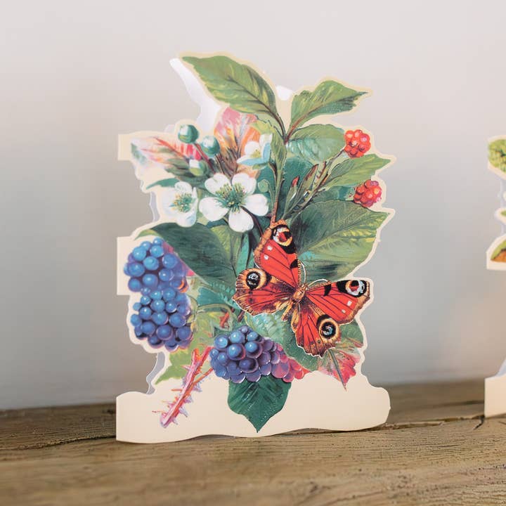 Mamelok – wholesale Everyday greeting card – MINI DIE CUT ASSORTMENT EVERYDAY CARDS17