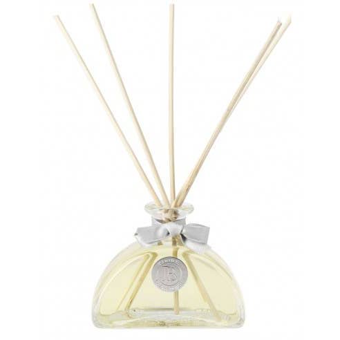 Le Père Pelletier - Vendita all'ingrosso Diffusori a lamella - Diffusore Inkwell da 100 ml