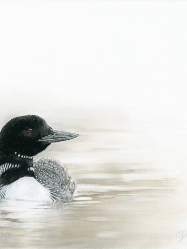 Loon Fine Art Giclee Print 'Where Stillness Begins' for wholesale by Crystal Clarke Animal Art