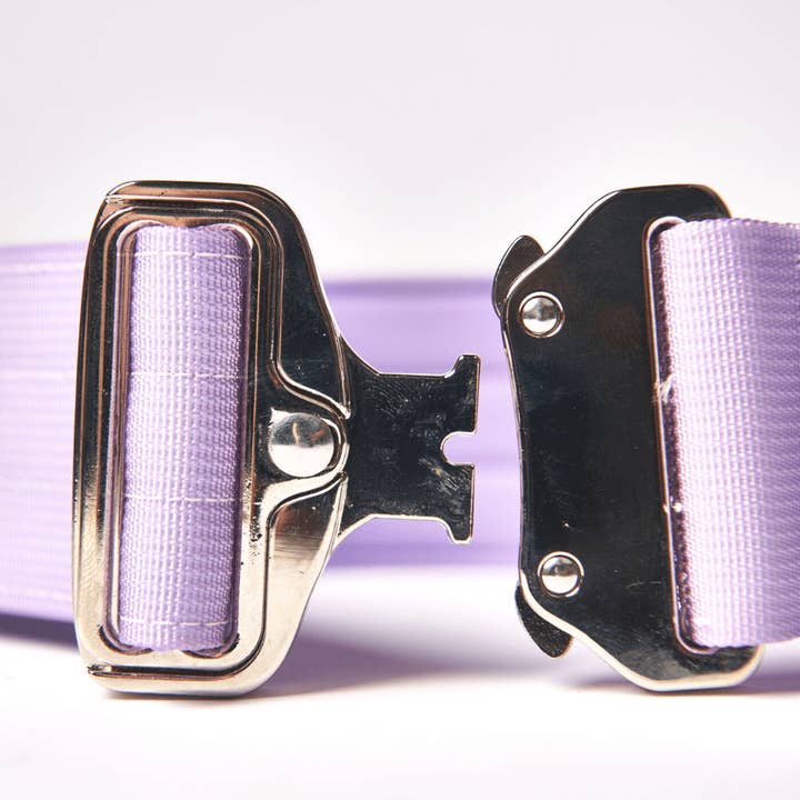 Spark Paws - Wholesale Pet Collar - Dog - Tactical Dog Collar - Lilac (2"/5cm)8